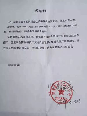 愛心傳遞周至 40萬斤獼猴桃滯銷待援，無聲老人與留守兒童的期盼