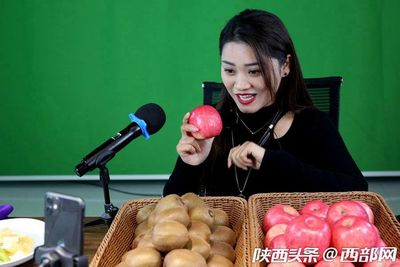 專業合作社引領，果農增收致富路——扶風獼猴桃實現全年供應與銷售新突破